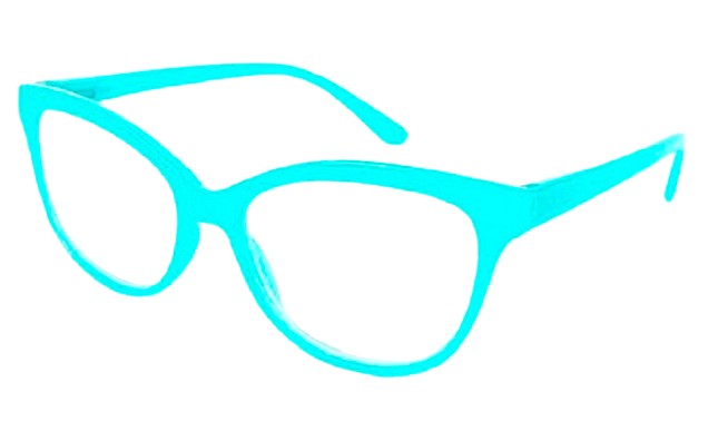 Gafa Premontada P6873