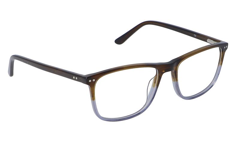 Montura 1134B24 Acetato C3 54-17-39 54 (140) Marrón/Transparente  Vicino