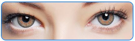 Clearcolor 55 graduada (mensual 2 lentes) Clearlab