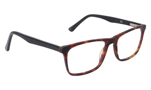 [GG1104F23C1] Montura 1104F23 Acetato C1 54-17-41 55 (140) Carey  Vicino