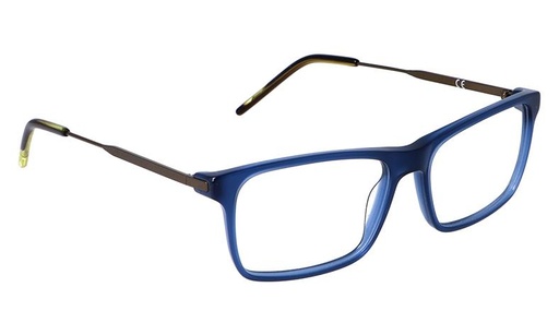 [GG1101F23C4] Montura 1101F23 Acetato C4 54-16-36 54 (145) Azul  Vicino