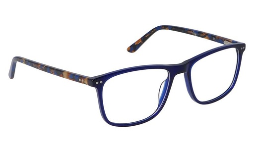 [GG1134B24C1] Montura 1134B24 Acetato C1 54-17-39 54 (140) Azul  Vicino