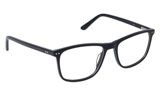 [GG1134B24C2] Montura 1134B24 Acetato C2 54-17-39 54 (140) Negro  Vicino