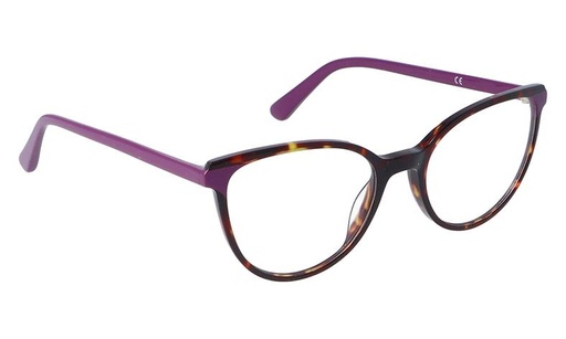 [GG1139F24C2] Montura 1139F24 Acetato C2 53-19-43 53 (140) Carey/Lila  Vicino
